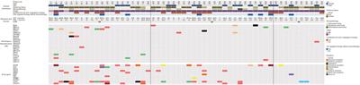 Next-generation sequencing of homologous recombination genes could predict efficacy of platinum-based chemotherapy in non-small cell lung cancer